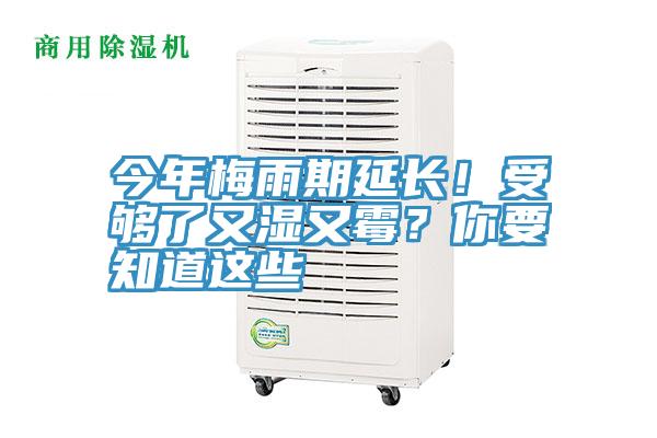 今年梅雨期延長(zhǎng)！受夠了又濕又霉？你要知道這些