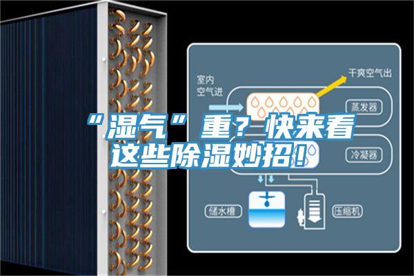 “濕氣”重？快來看這些除濕妙招！