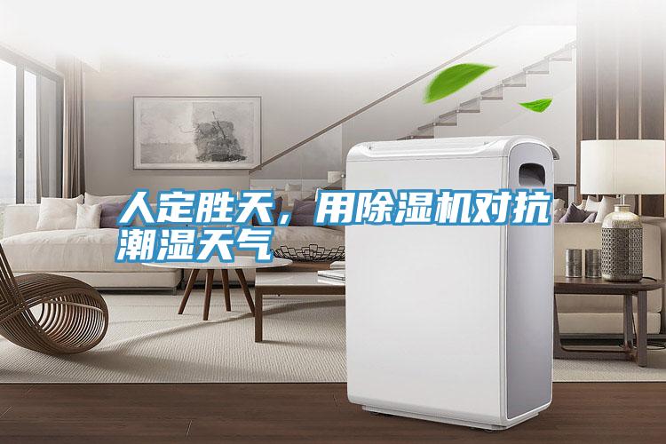 人定勝天，用除濕機對抗潮濕天氣