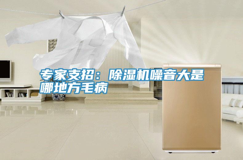 專家支招:除濕機(jī)噪音大是哪地方毛病