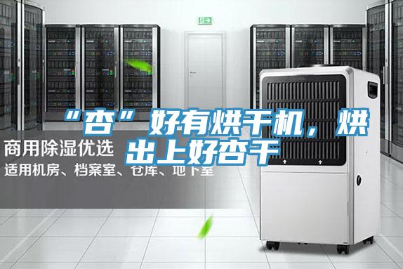 “杏”好有烘干機，烘出上好杏干