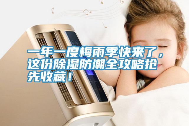 一年一度梅雨季快來了，這份除濕防潮全攻略搶先收藏！