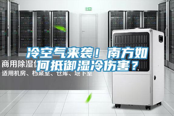 冷空氣來襲！南方如何抵御濕冷傷害？