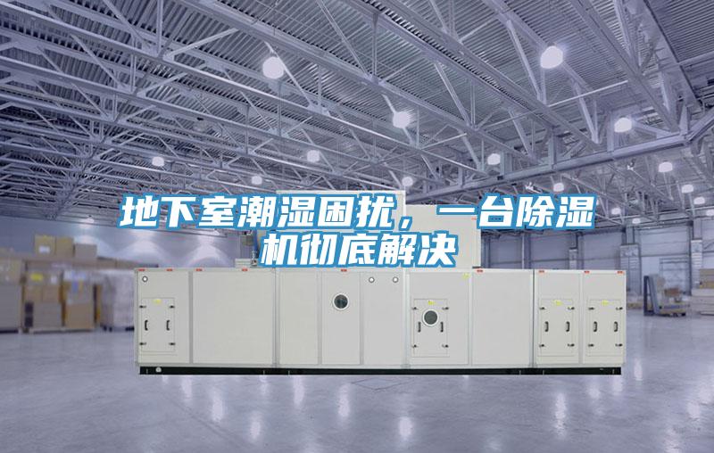 地下室潮濕困擾，一臺除濕機徹底解決