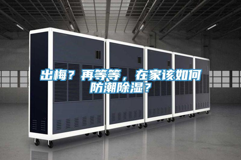出梅？再等等，在家該如何防潮除濕？