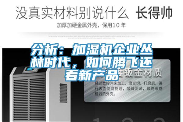 分析:加濕機(jī)企業(yè)叢林時代,如何騰飛還看新產(chǎn)品