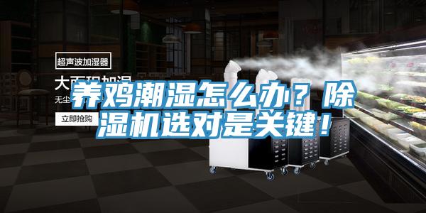 養(yǎng)雞潮濕怎么辦？除濕機(jī)選對是關(guān)鍵！