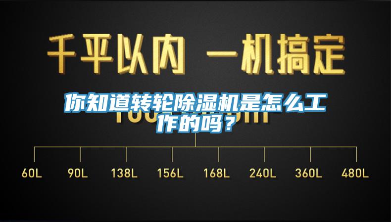 你知道轉(zhuǎn)輪除濕機是怎么工作的嗎?