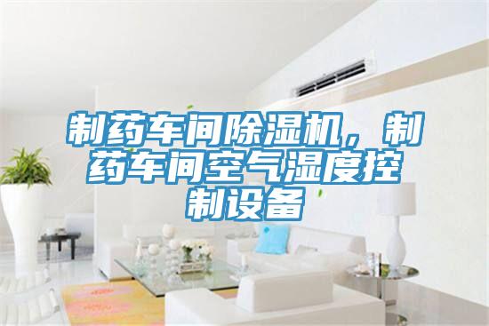 制藥車間除濕機,制藥車間空氣濕度控制設備