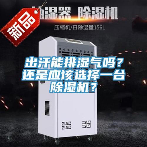 出汗能排濕氣嗎?還是應(yīng)該選擇一臺除濕機(jī)?