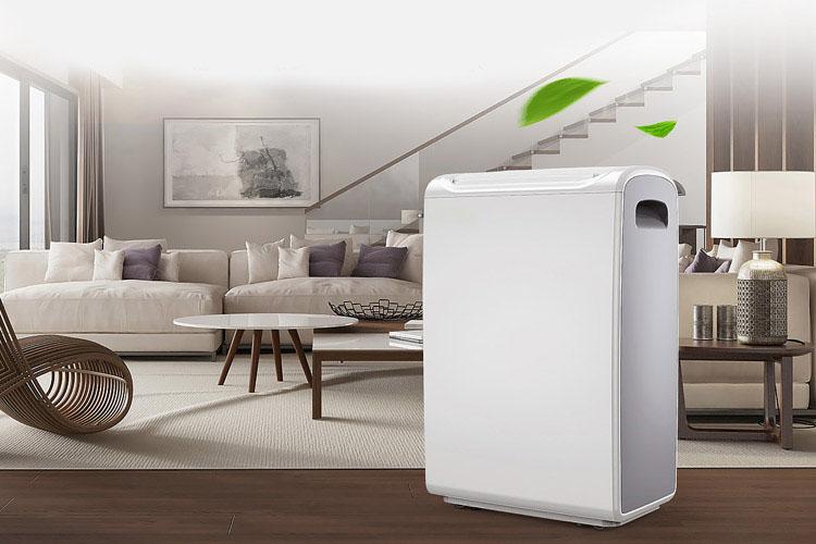 南方的潮濕空氣是如何形成的？