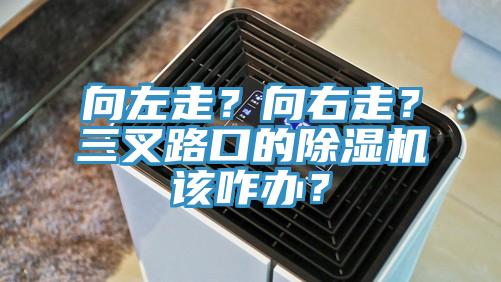 向左走？向右走？三叉路口的除濕機該咋辦？