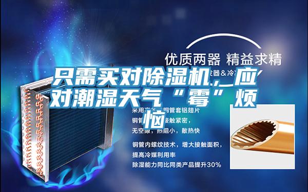 只需買對除濕機，應對潮濕天氣“霉”煩惱