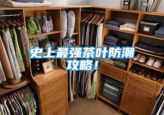 史上最強茶葉防潮攻略！