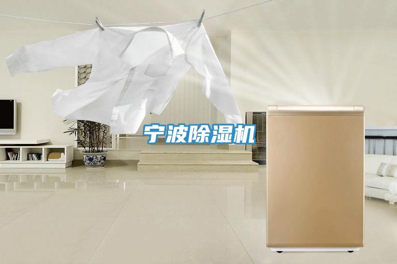 寧波除濕機