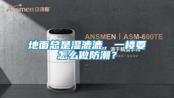 地面總是濕漉漉,一樓要怎么做防潮?