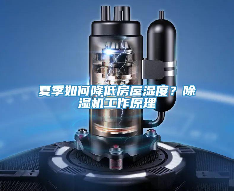 夏季如何降低房屋濕度?除濕機工作原理