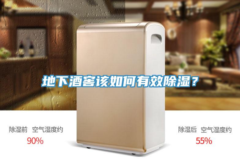 地下酒窖該如何有效除濕?