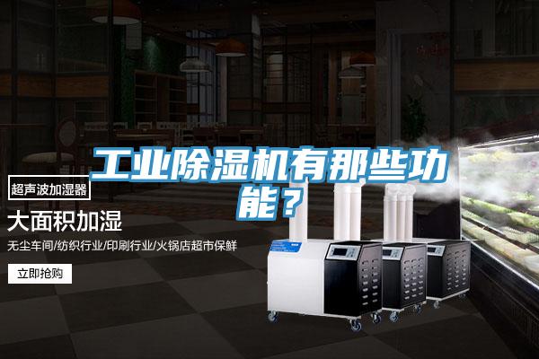 工業(yè)除濕機有那些功能？