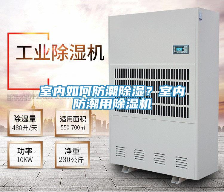 室內如何防潮除濕？室內防潮用除濕機