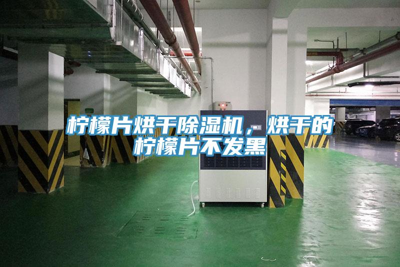 檸檬片烘干除濕機，烘干的檸檬片不發黑