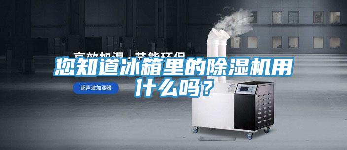 您知道冰箱里的除濕機用什么嗎？