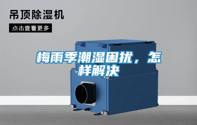 梅雨季潮濕困擾，怎樣解決