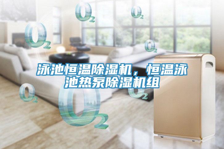 泳池恒溫除濕機(jī)，恒溫泳池?zé)岜贸凉駲C(jī)組