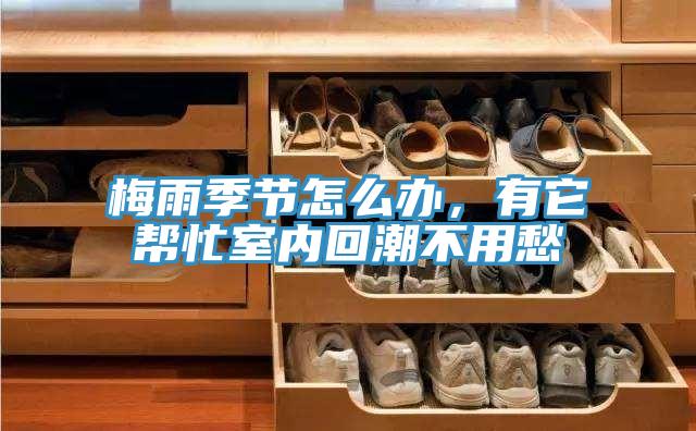 梅雨季節怎么辦，有它幫忙室內回潮不用愁