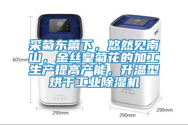 采菊東籬下，悠然見南山，金絲皇菊花的加工生產提高產能，升溫型烘干工業除濕機