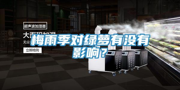 梅雨季對綠蘿有沒有影響？