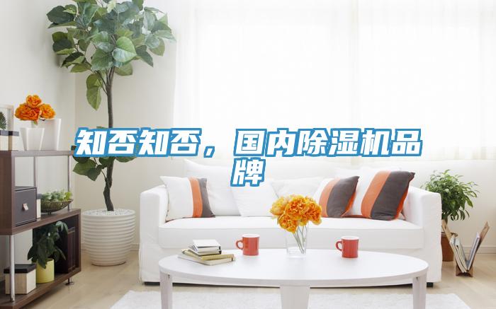 知否知否，國(guó)內(nèi)除濕機(jī)品牌