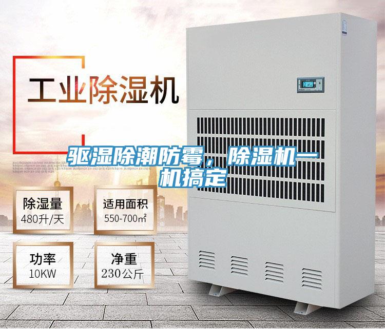 驅(qū)濕除潮防霉，除濕機一機搞定