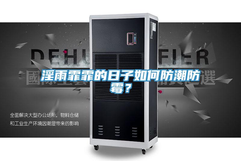 淫雨霏霏的日子如何防潮防霉？