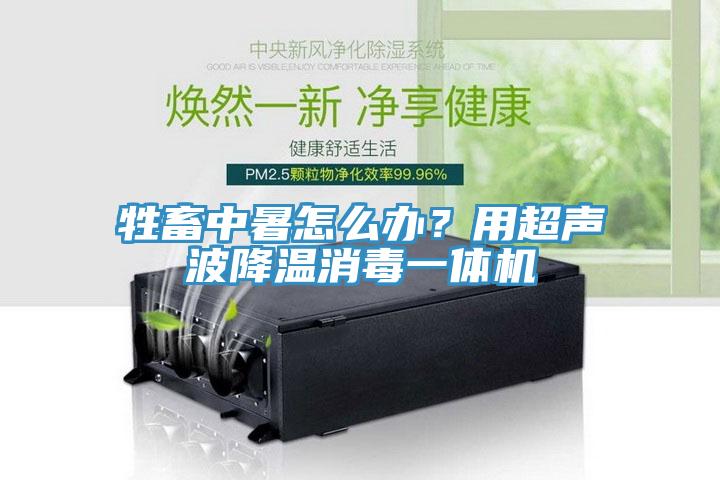 牲畜中暑怎么辦？用超聲波降溫消毒一體機