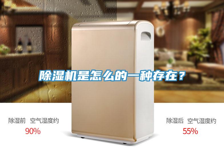 除濕機(jī)是怎么的一種存在？