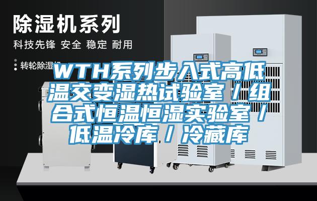 WTH系列步入式高低溫交變濕熱試驗室/組合式恒溫恒濕實驗室/低溫冷庫/冷藏庫