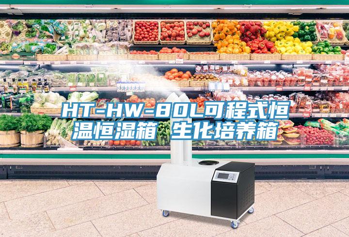 HT-HW-80L可程式恒溫恒濕箱 生化培養箱