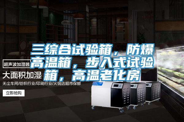 三綜合試驗箱，防爆高溫箱，步入式試驗箱，高溫老化房