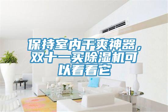 保持室內(nèi)干爽神器，雙十一買除濕機(jī)可以看看它