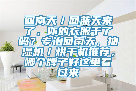 回南天／回藍天來了，你的衣服干了嗎？專治回南天，抽濕機／烘干機推薦，哪個牌子好這里看過來