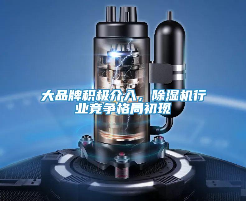 大品牌積極介入，除濕機行業競爭格局初現