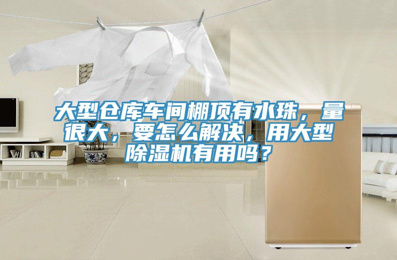 大型倉庫車間棚頂有水珠，量很大，要怎么解決，用大型除濕機有用嗎？