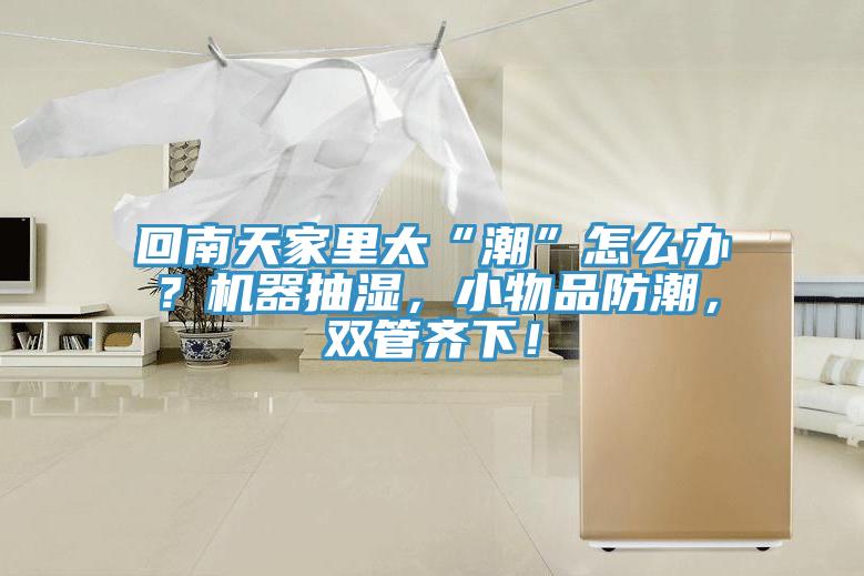 回南天家里太“潮”怎么辦？機器抽濕，小物品防潮，雙管齊下！