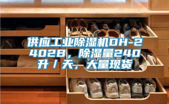 供應(yīng)工業(yè)除濕機(jī)DH-2402B，除濕量240升／天，大量現(xiàn)貨