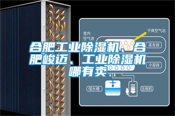 合肥工業(yè)除濕機、合肥峻邁、工業(yè)除濕機哪有賣