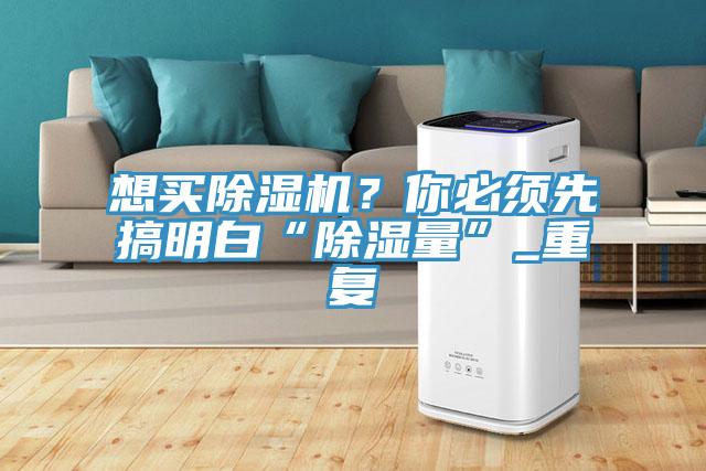 想買(mǎi)除濕機(jī)？你必須先搞明白“除濕量”_重復(fù)