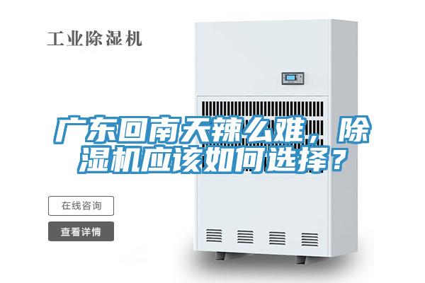 廣東回南天辣么難，除濕機應該如何選擇？