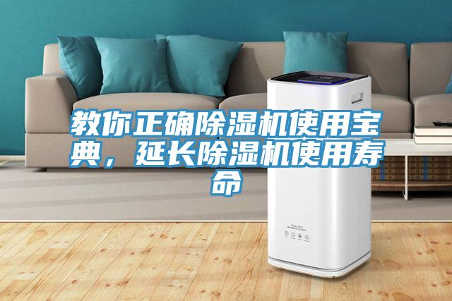 教你正確除濕機使用寶典，延長除濕機使用壽命