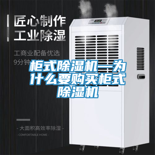 柜式除濕機—為什么要購買柜式除濕機